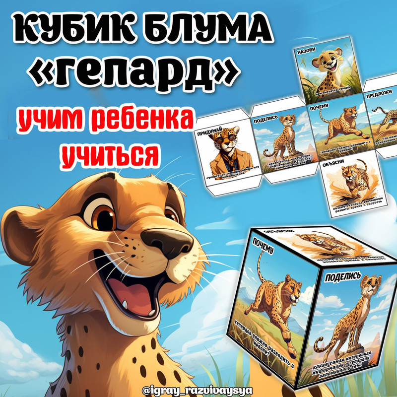 КУБИК БЛУМА ГЕПАРД