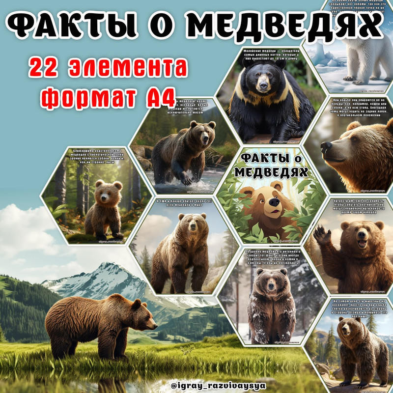 ФАКТЫ О МЕДВЕДЯХ