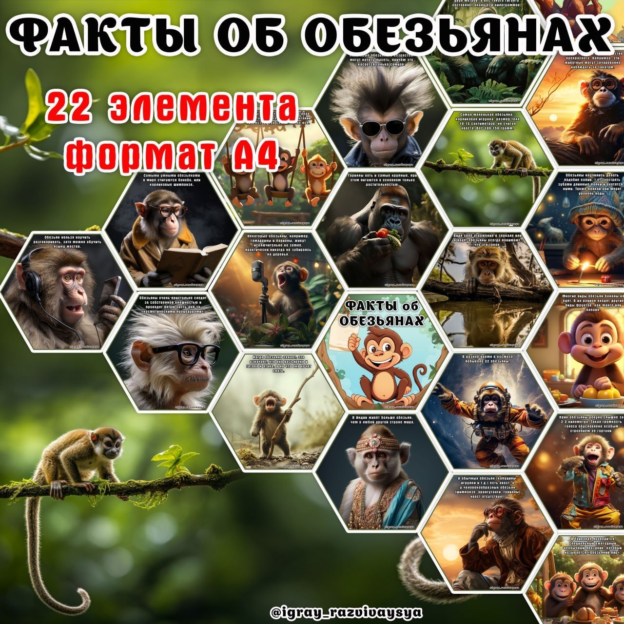 ФАКТЫ ОБ ОБЕЗЬЯНАХ — животные африки, животные, карточки — для детского сада — Играй и Развивайся