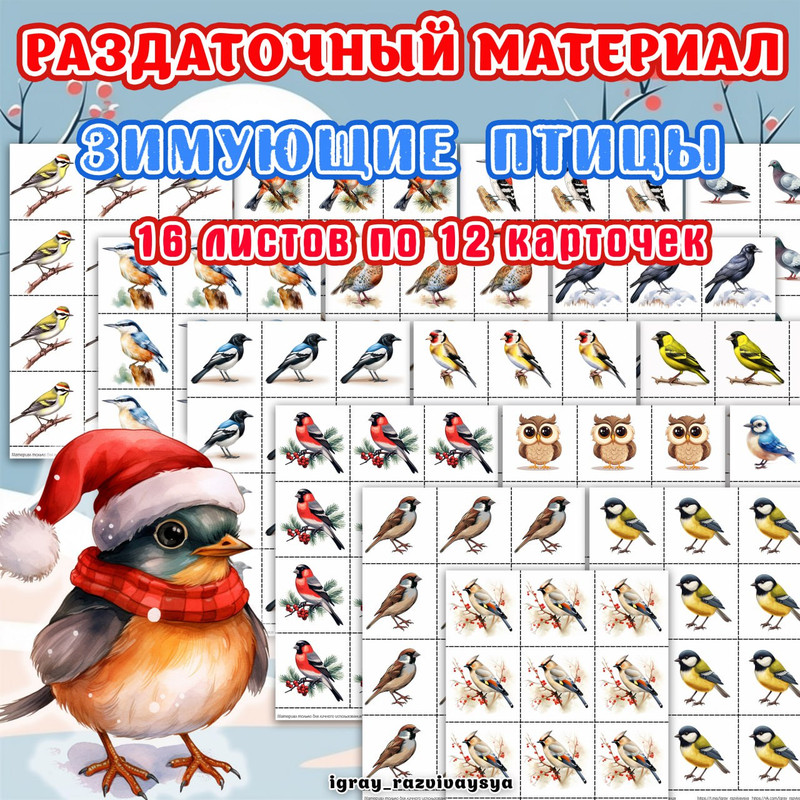 РАЗДАТОЧНЫЙ МАТЕРИАЛ ЗИМУЮЩИЕ ПТИЦЫ