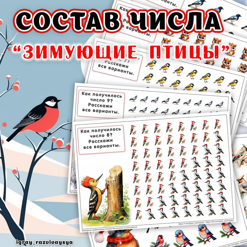 СОСТАВ ЧИСЛА ЗИМ ПТИЦЫ