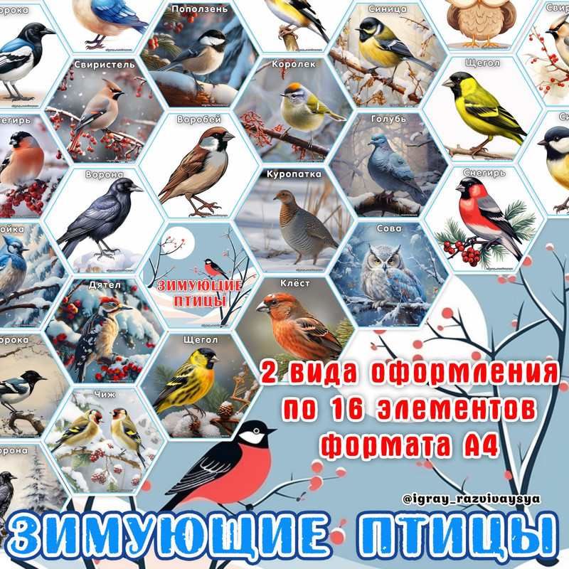 СТЕНД ЗИМУЮЩИЕ ПТИЦЫ