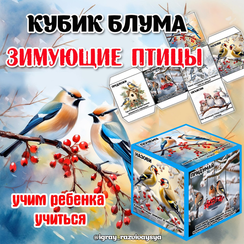 КУБИК БЛУМА ЗИМ ПТИЦЫ