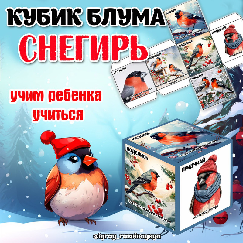 КУБИК БЛУМА СНЕГИРЬ