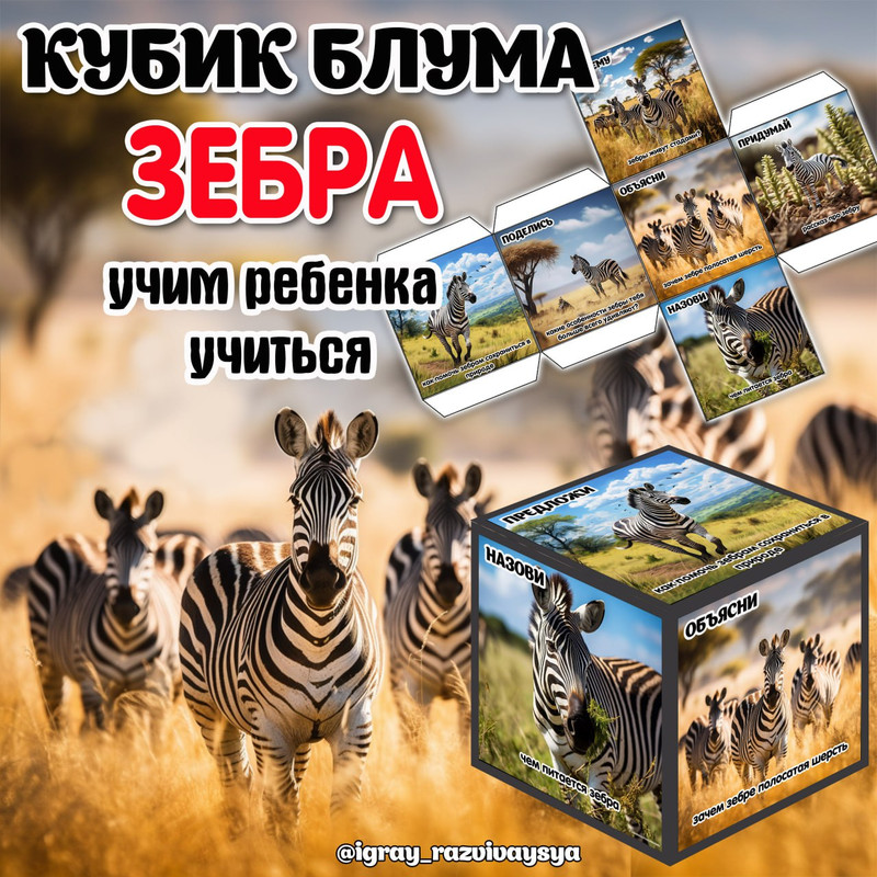 КУБИК БЛУМА ЗЕБРА