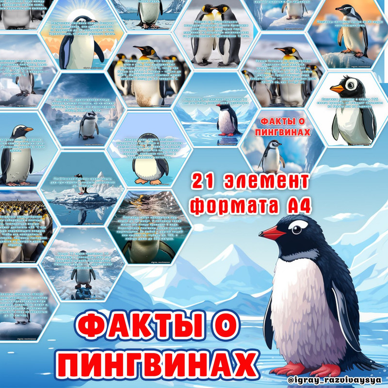 СТЕНД ФАКТЫ О ПИНГВИНАХ