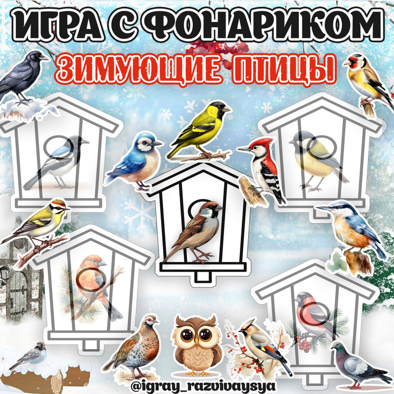 ИГРА С ФОНАРИКОМ ЗИМ ПТИЦЫ