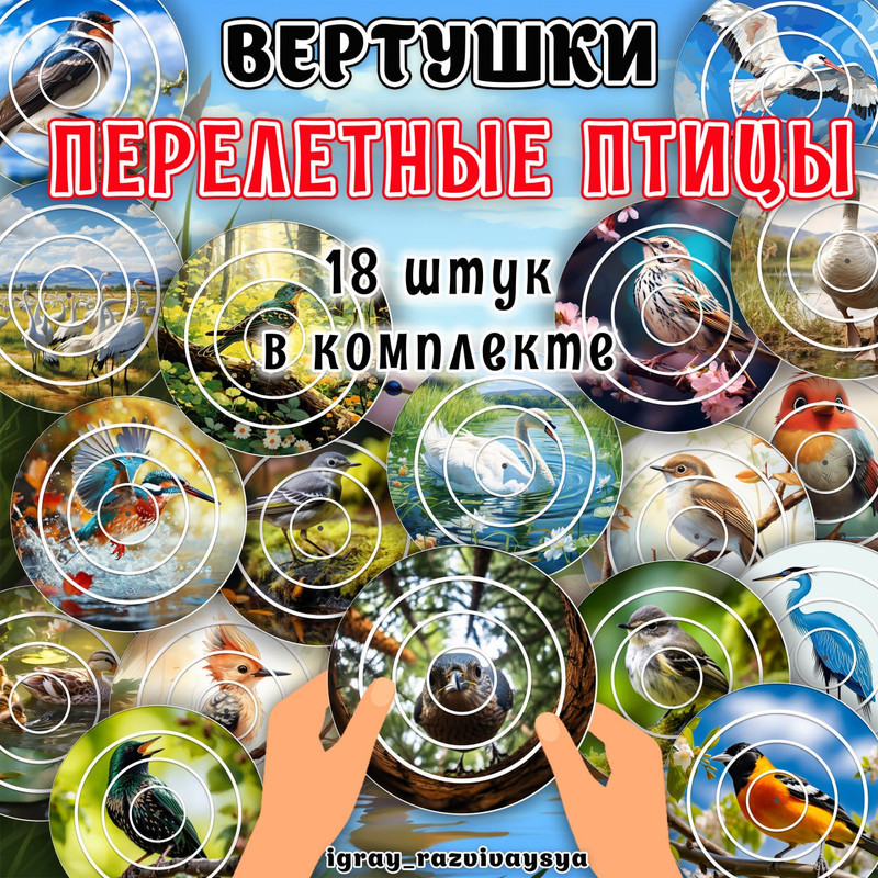 ВЕРТУШКИ ПЕРЕЛЕТНЫЕ ПТИЦЫ