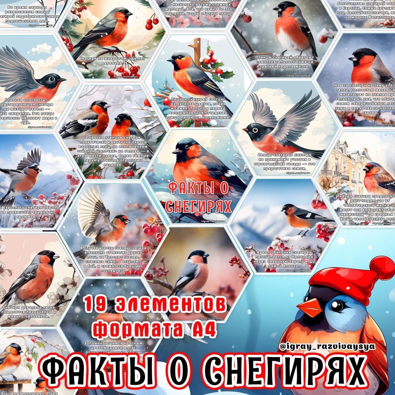 СТЕНД СНЕГИРИ — зимующие птицы, карточки, птицы — для детского сада — Играй и Развивайся