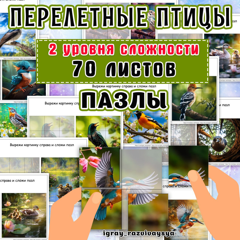 ПАЗЛЫ ПЕРЕЛЕТНЫЕ ПТИЦЫ