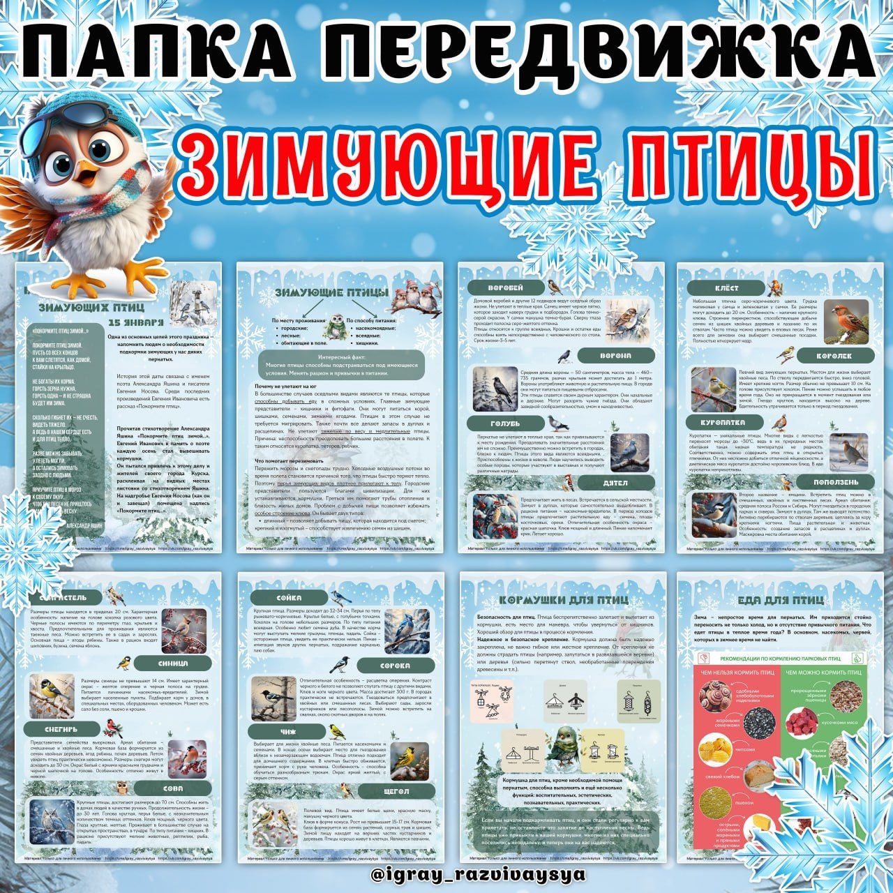 ПАПКА ПЕРЕДВИЖКА ЗИМУЮЩИЕ ПТИЦЫ — 1-2 класс, зимующие птицы, папка передвижка — скачать для детского сада