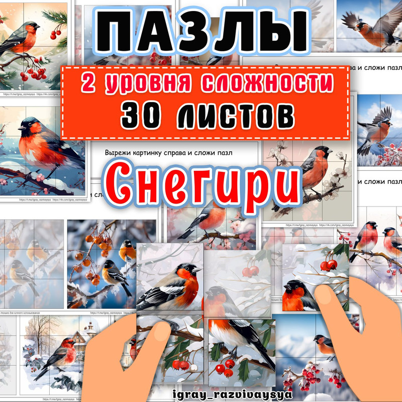 ПАЗЛЫ СНЕГИРИ