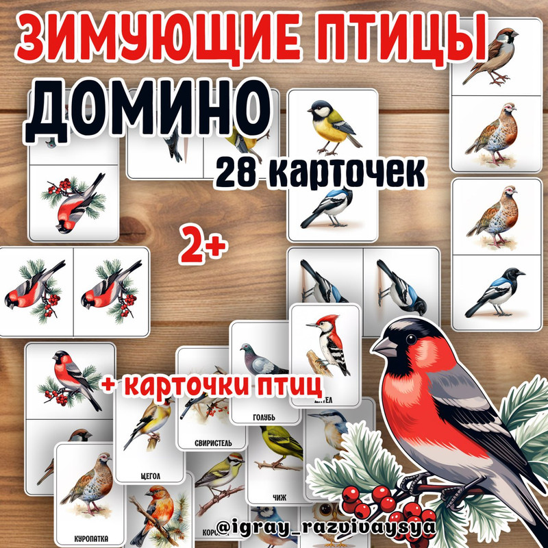ДОМИНО ЗИМ ПТИЦЫ