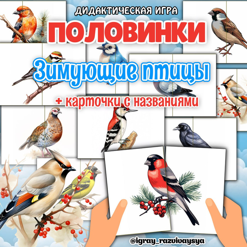 ПОЛОВИНКИ ЗИМ ПТИЦЫ