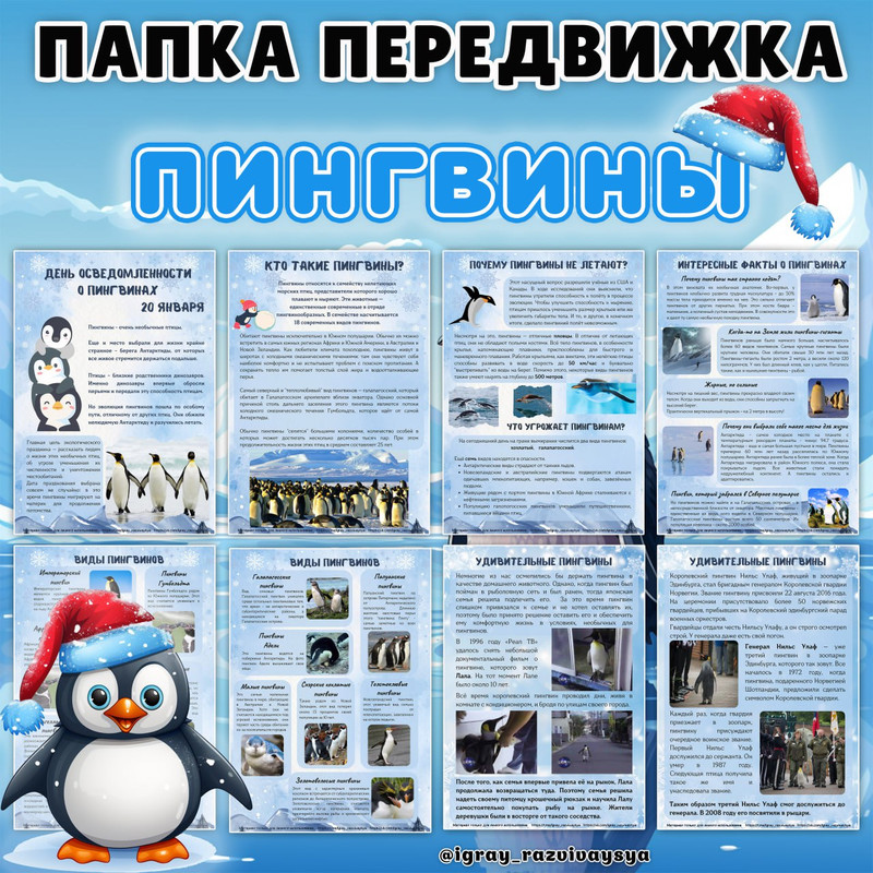 ПАПКА ПЕРЕДВИЖКА ПИНГВИНЫ