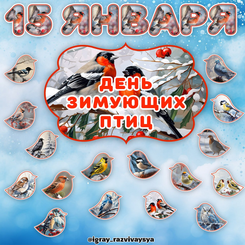 ОФОРМЛЕНИЕ ЗИМ ПТИЦЫ