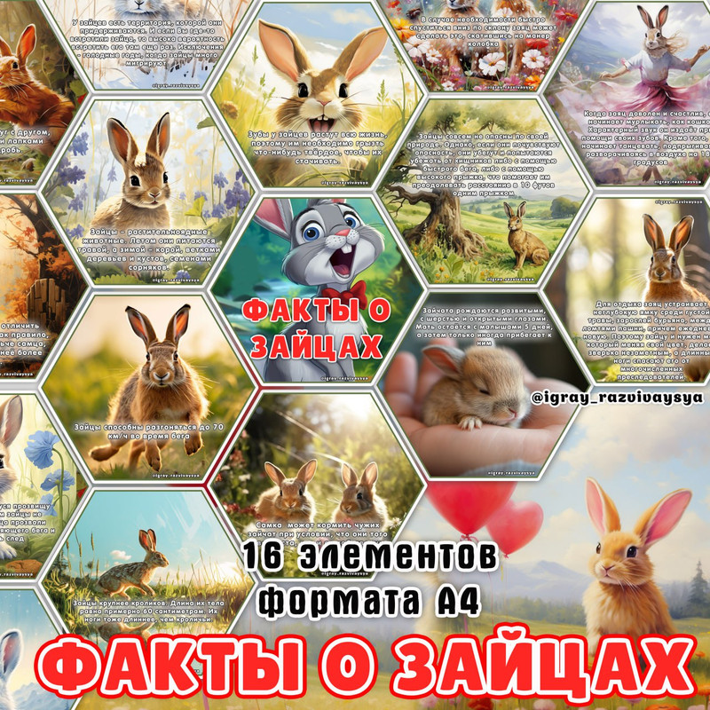 СТЕНД ЗАЙЦЫ