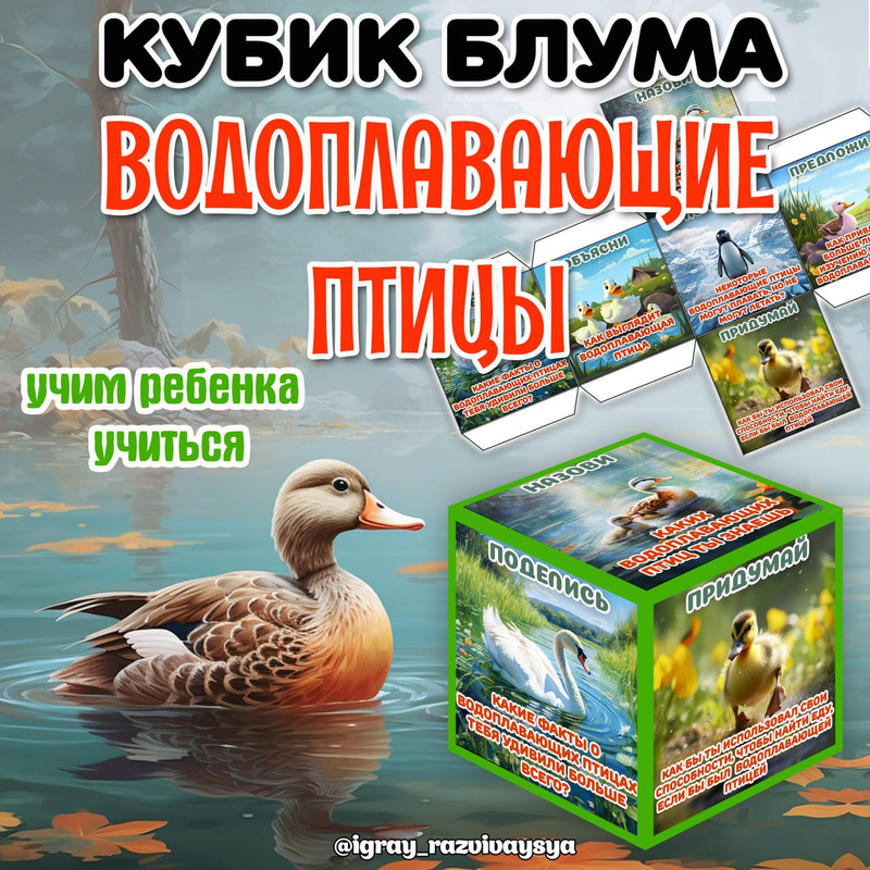 КУБИК БЛУМА ВОДОПЛАВАЮЩИЕ ПТИЦЫ