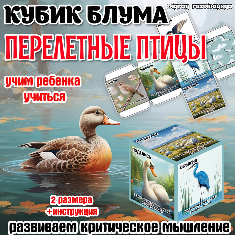 КУБИК БЛУМА ПЕРЕЛЕТНЫЕ ПТИЦЫ