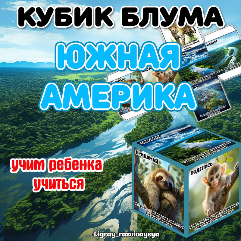 КУБИК БЛУМА ЮЖНАЯ АМЕРИКА