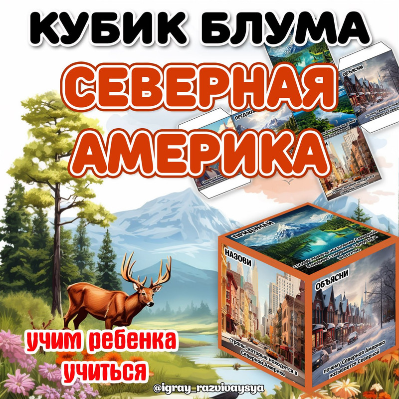 КУБИК БЛУМА СЕВЕРНАЯ АМЕРИКА