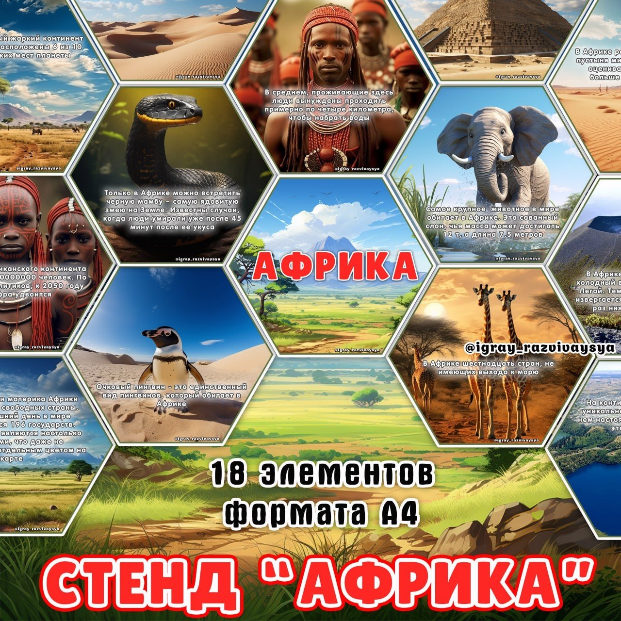 СТЕНД АФРИКА — география, карточки, соты — скачать для детского сада