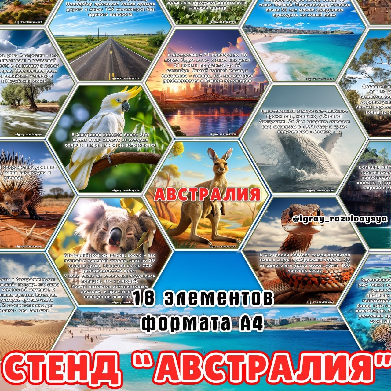 СТЕНД АВСТРАЛИЯ — география, карточки, соты — скачать для детского сада