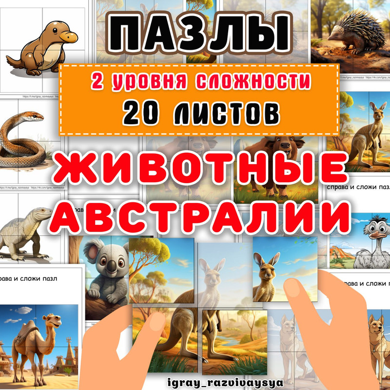 ПАЗЛЫ ЖИВОТНЫЕ АВСТРАЛИИ
