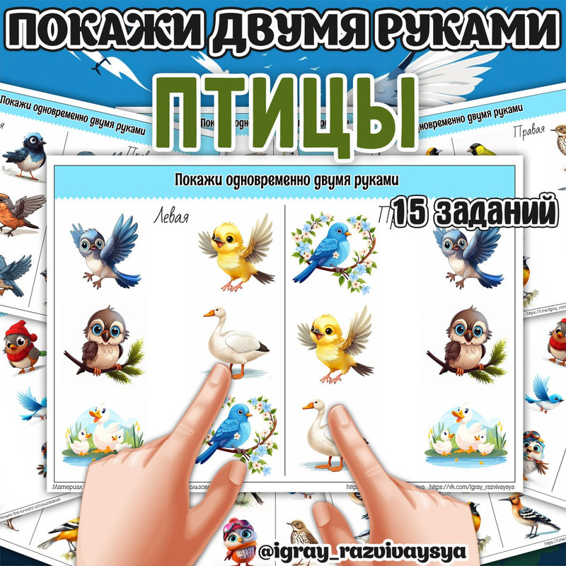 ПОКАЖИ ДВУМЯ РУКАМИ ПТИЦЫ