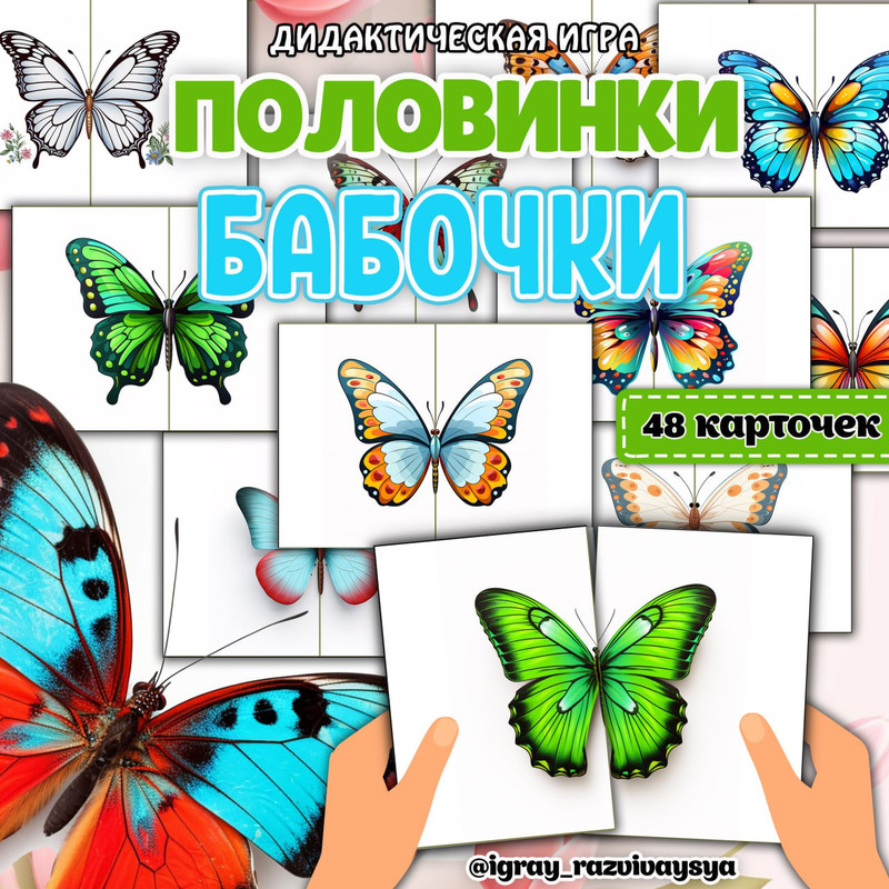 ПОЛОВИНКИ БАБОЧКИ