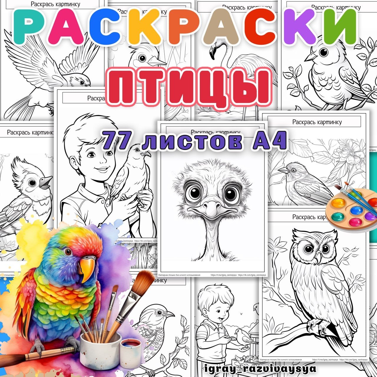 РАСКРАСКИ ПТИЦЫ — раскраски, рабочие листы, птицы — для детского сада — Играй и Развивайся