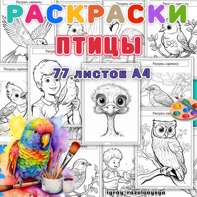 РАСКРАСКИ ПТИЦЫ