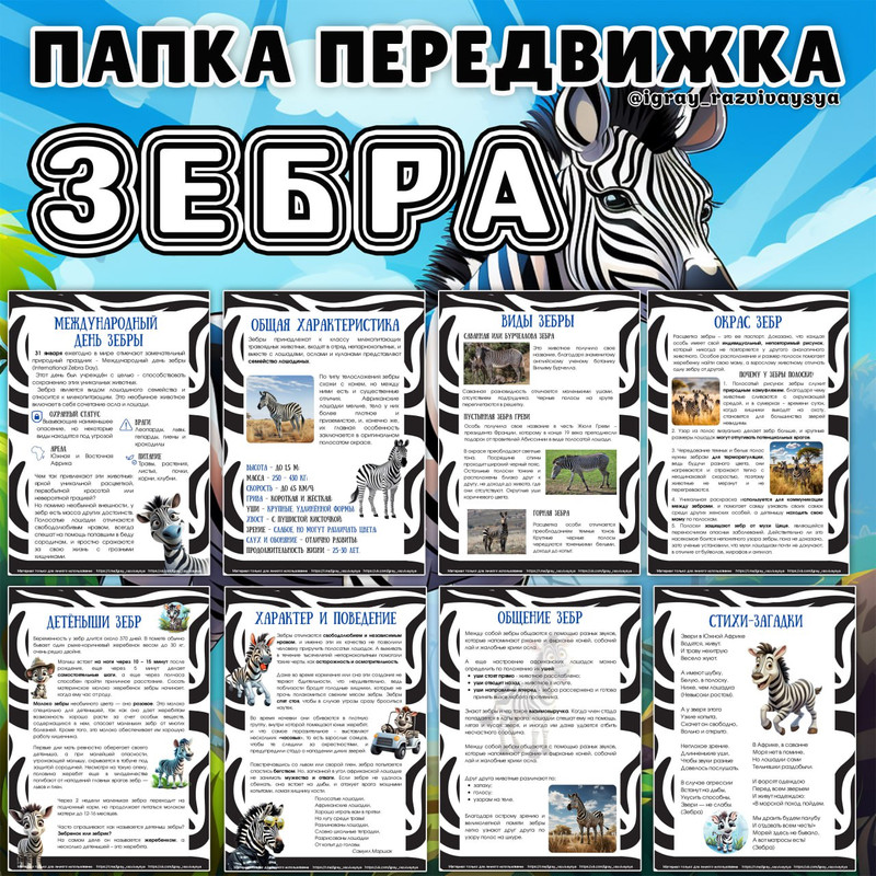 ПАПКА ПЕРЕДВИЖКА ЗЕБРА