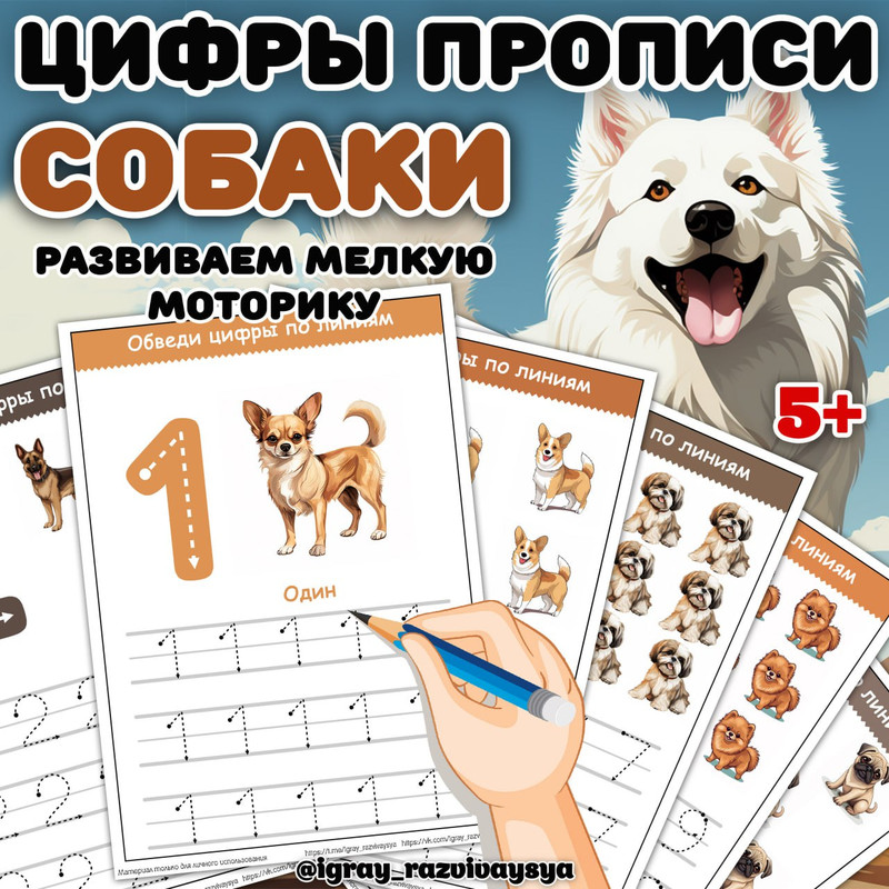 ЦИФРЫ ПРОПИСИ СОБАКИ