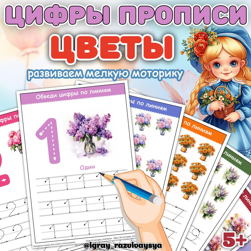 ЦИФРЫ ПРОПИСИ ЦВЕТЫ