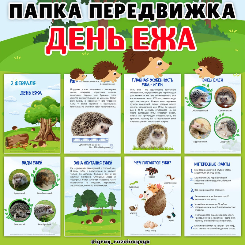 ПАПКА ПЕРЕДВИЖКА ЕЖ