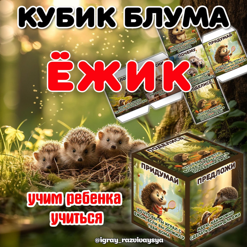 КУБИК БЛУМА ЕЖ