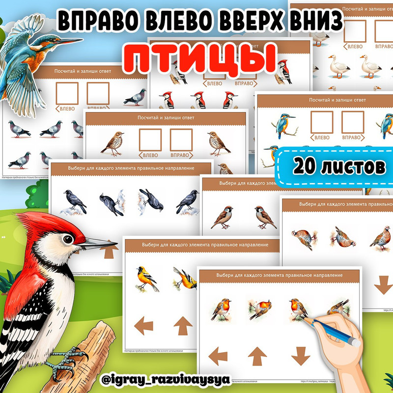 ВЛЕВО ВПРАВО ВВЕРХ ВНИЗ ПТИЦЫ