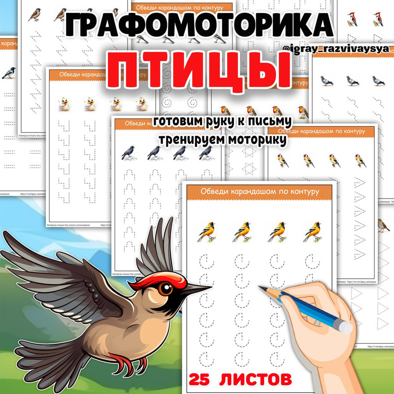 ГРАФОМОТОРИКА ПТИЦЫ