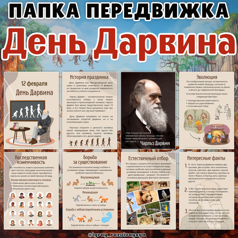 ПАПКА ПЕРЕДВИЖКА ДАРВИН