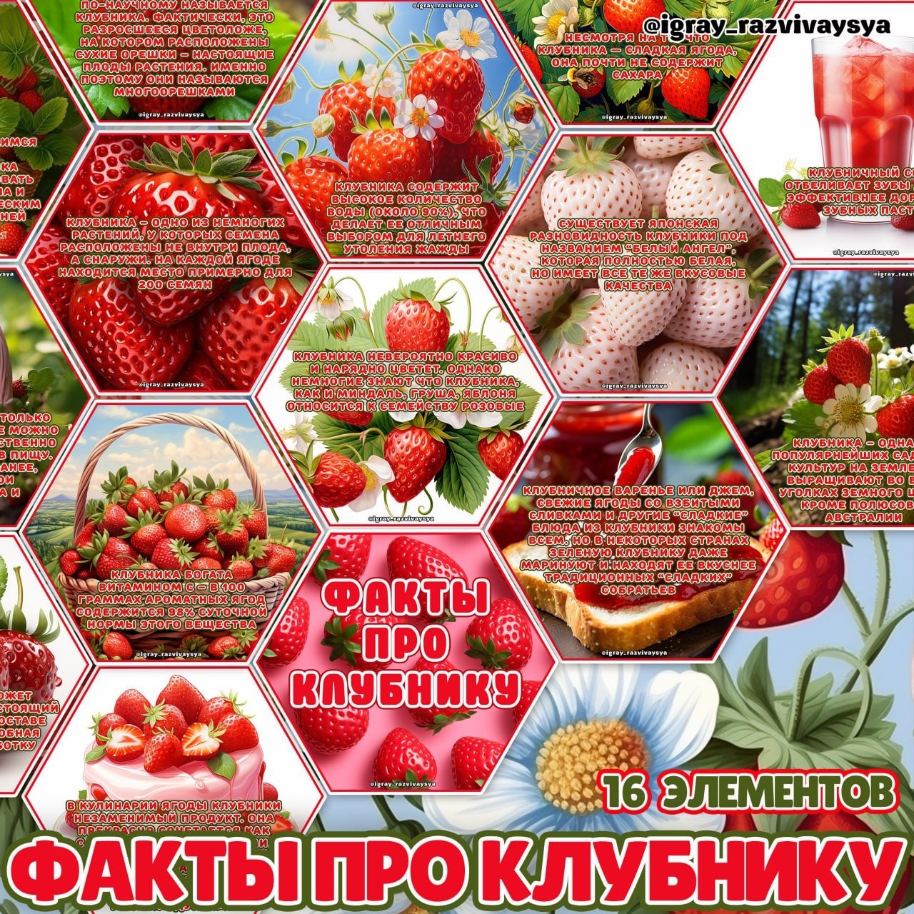 СТЕНД КЛУБНИКА — карточки, клубника, соты — для детского сада — Играй и Развивайся