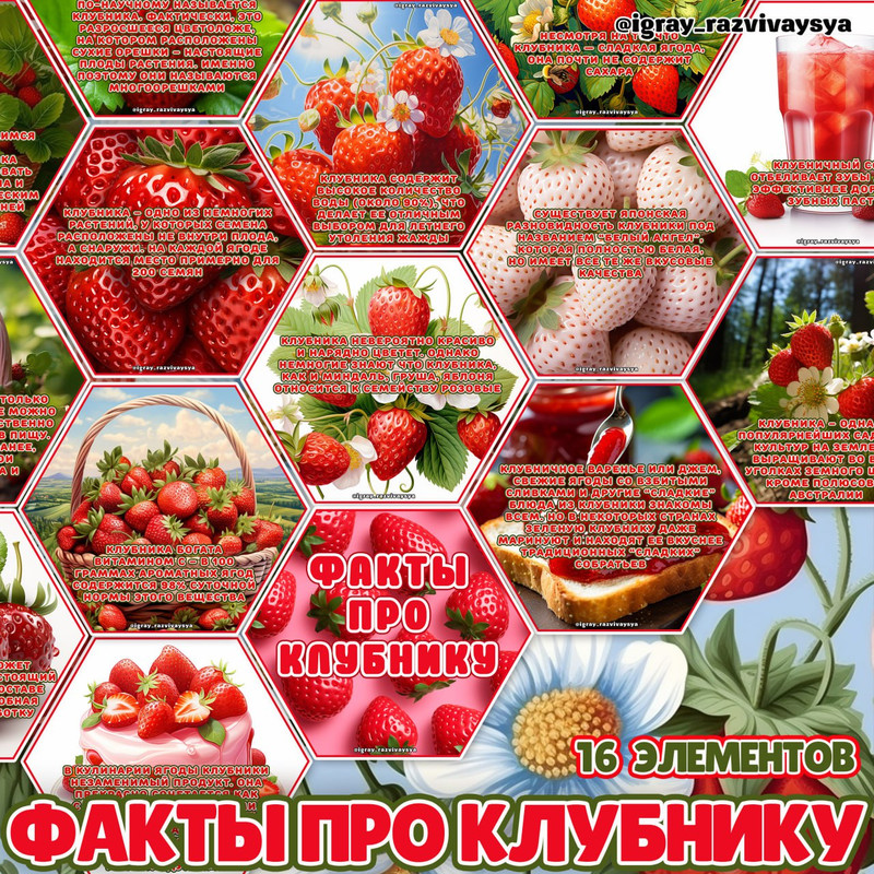 СТЕНД КЛУБНИКА