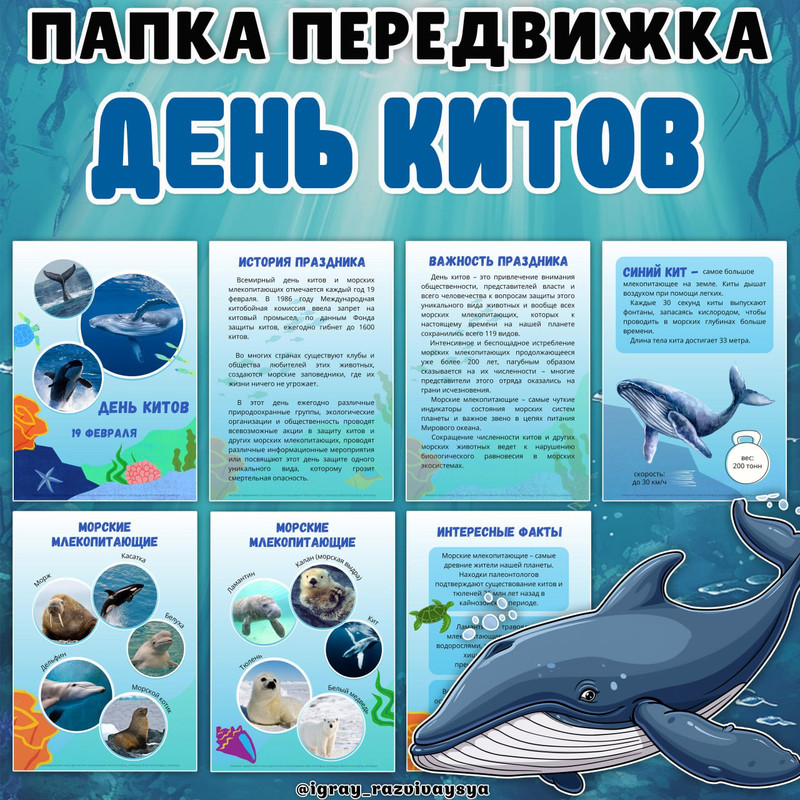 ПАПКА ПЕРЕДВИЖКА КИТ