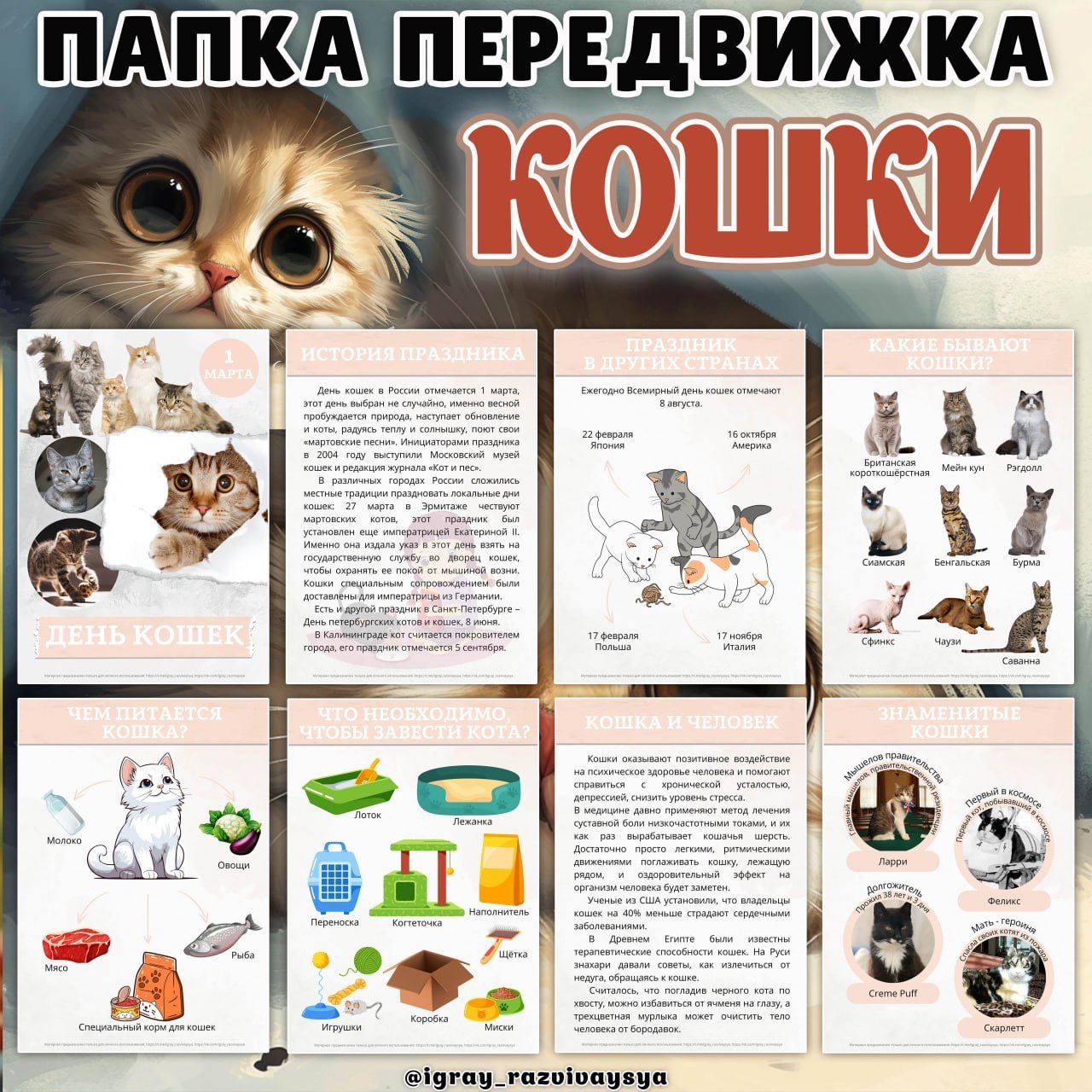 ПАПКА ПЕРЕДВИЖКА КОШКИ — домашние животные, животные, кошки — скачать для детского сада