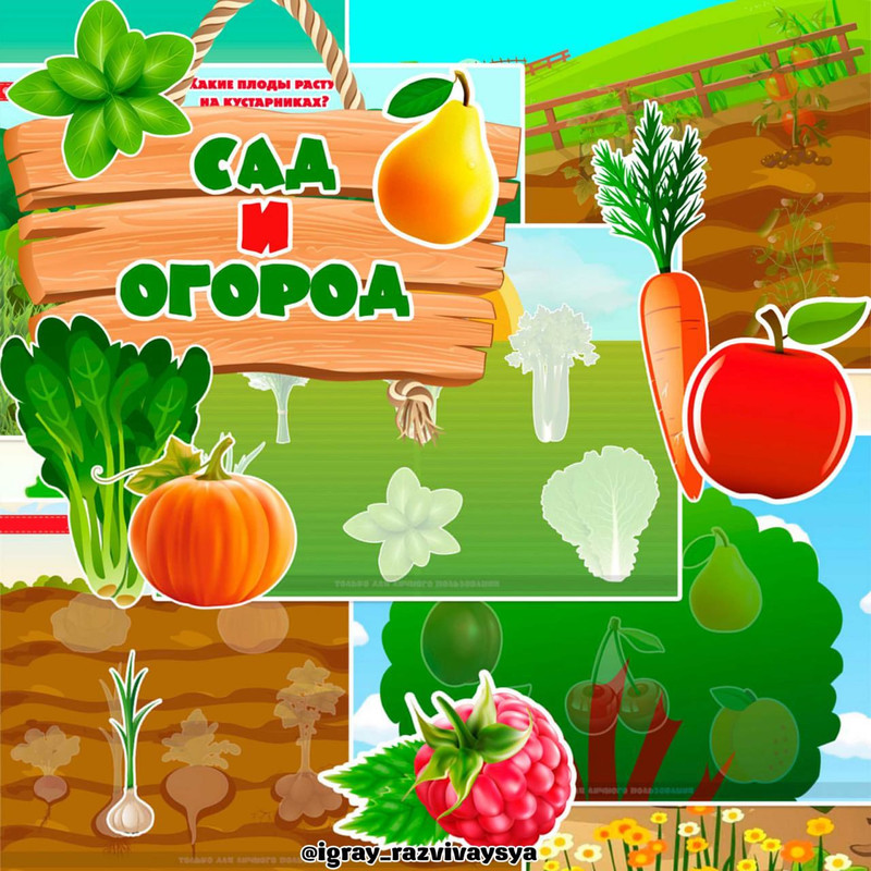 САД И ОГОРОД