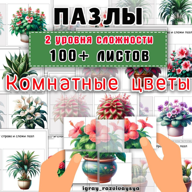 ПАЗЛЫ КОМНАТНЫЕ РАСТЕНИЯ