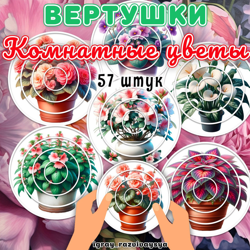 ВЕРТУШКИ КОМНАТНЫЕ РАСТЕНИЯ