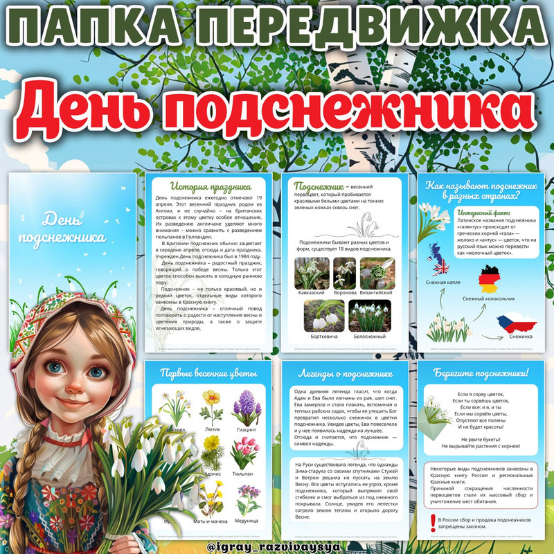 ПАПКА ПЕРЕДВИЖКА ПОДСНЕЖНИК