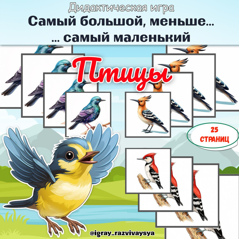 ОТ САМОГО БОЛЬШОГО К САМОМУ МАЛЕНЬКОМУ ПТИЦЫ — дидактические игры, птицы — скачать для детского сада