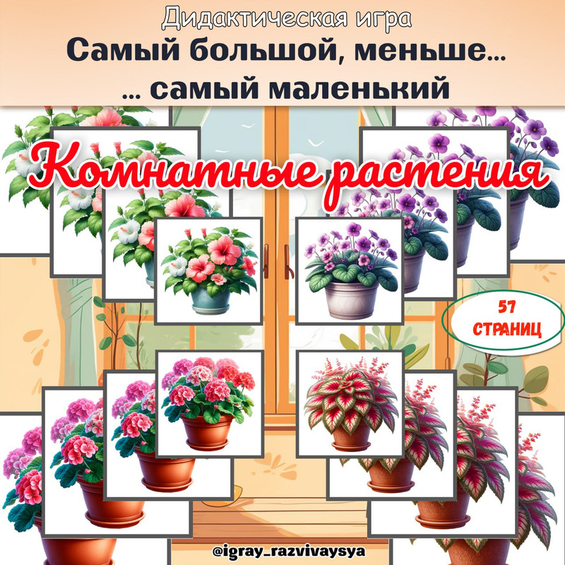 ОТ САМОГО БОЛЬШОГО К САМОМУ МАЛЕНЬКОМУ КОМНАТНЫЕ РАСТЕНИЯ